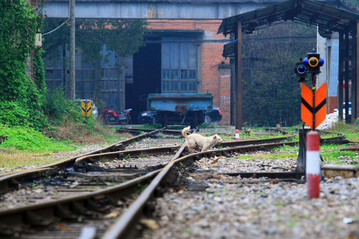 重庆铁路运输高级技工学校招生对象：不仅仅是初中生