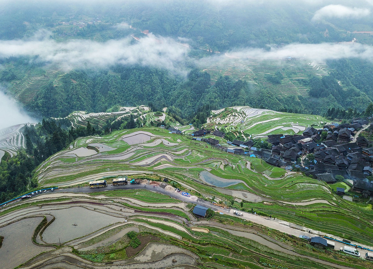 黔农生态为什么不会被抓回答+拓展
