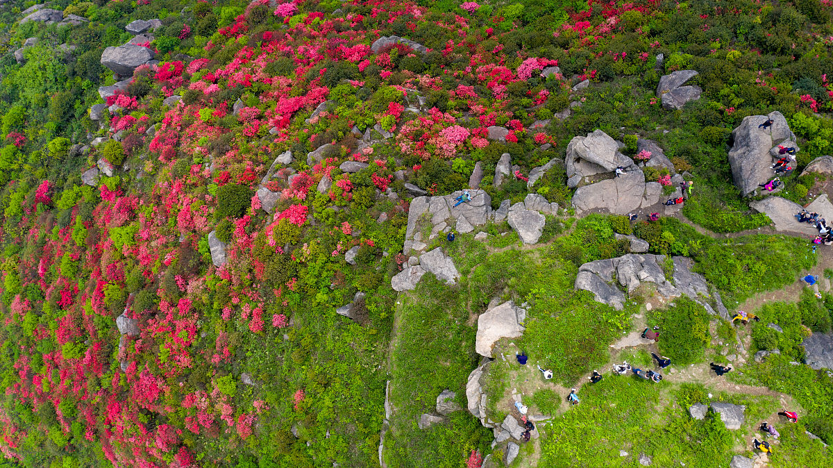 丰城中等专业学校2021年招生条件是什么