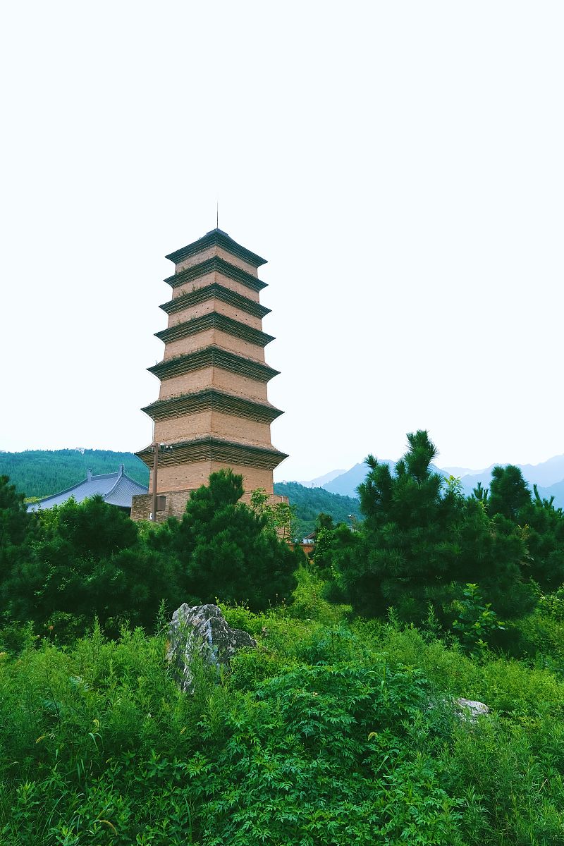 陕西旅游烹饪职业学院酒店管理（国际方向高级工）招生要求有哪些？