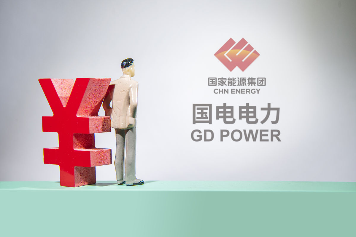 确定该国最著名的电气公司并讨论这些公司是否更多地遵循股东或利益相关者价值方法