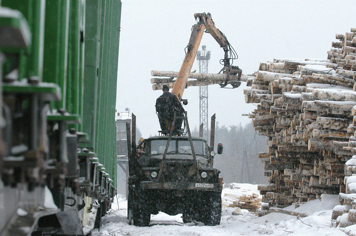 选择黑龙江省林业卫生学校怎么样呢？