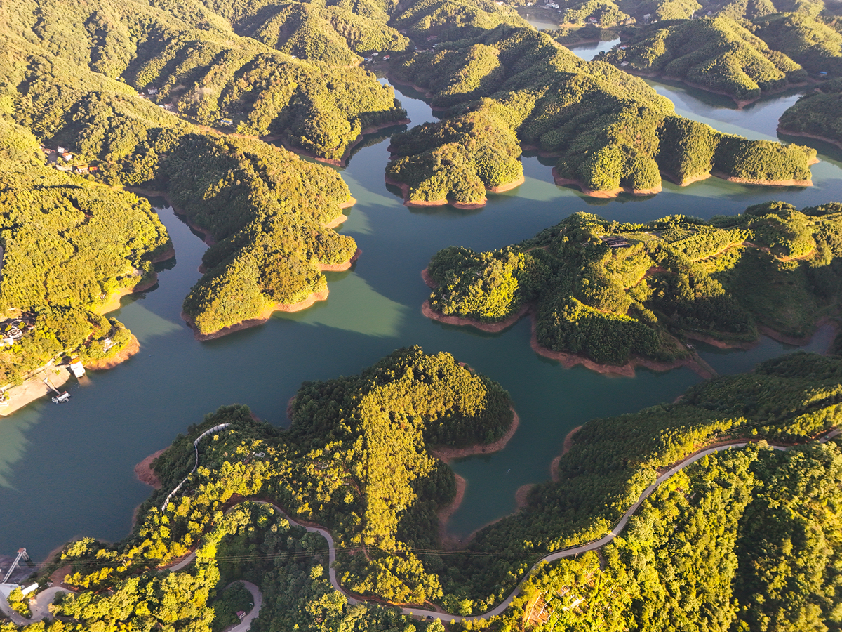 简述生态园区的常见分类