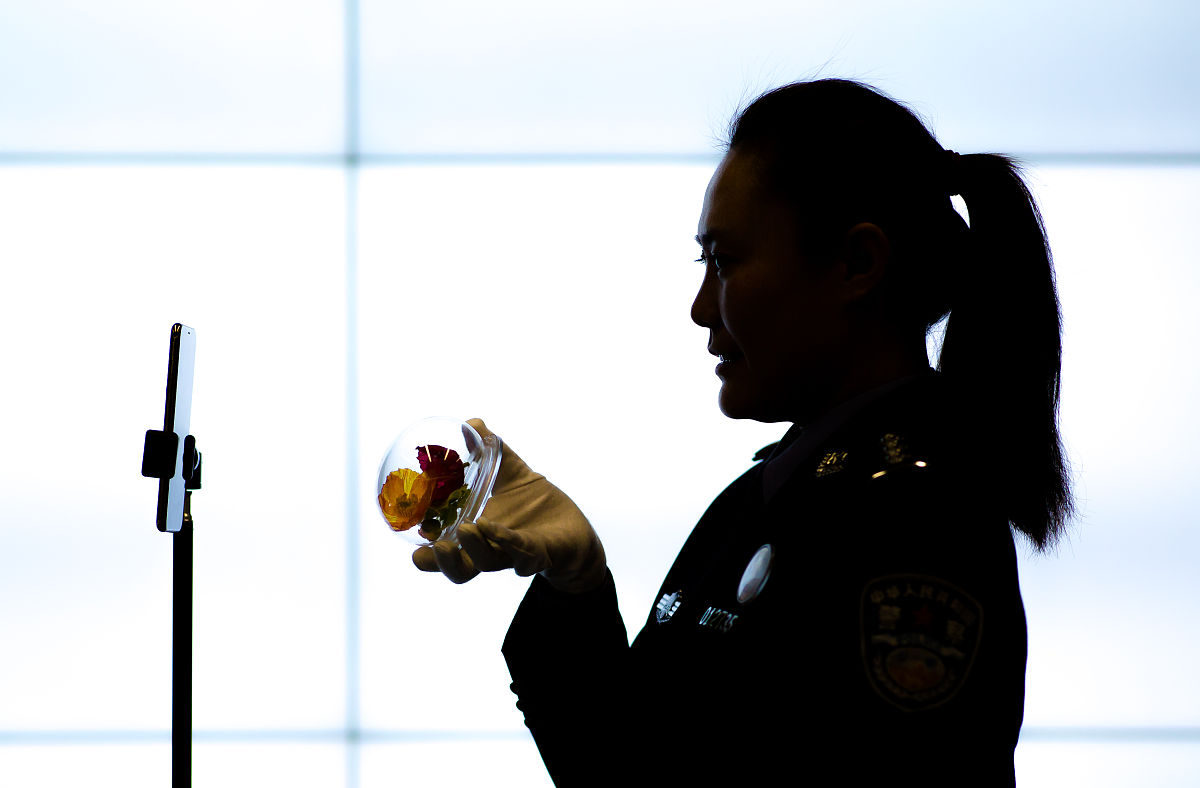 关于辅导员培训通讯稿的标题10个