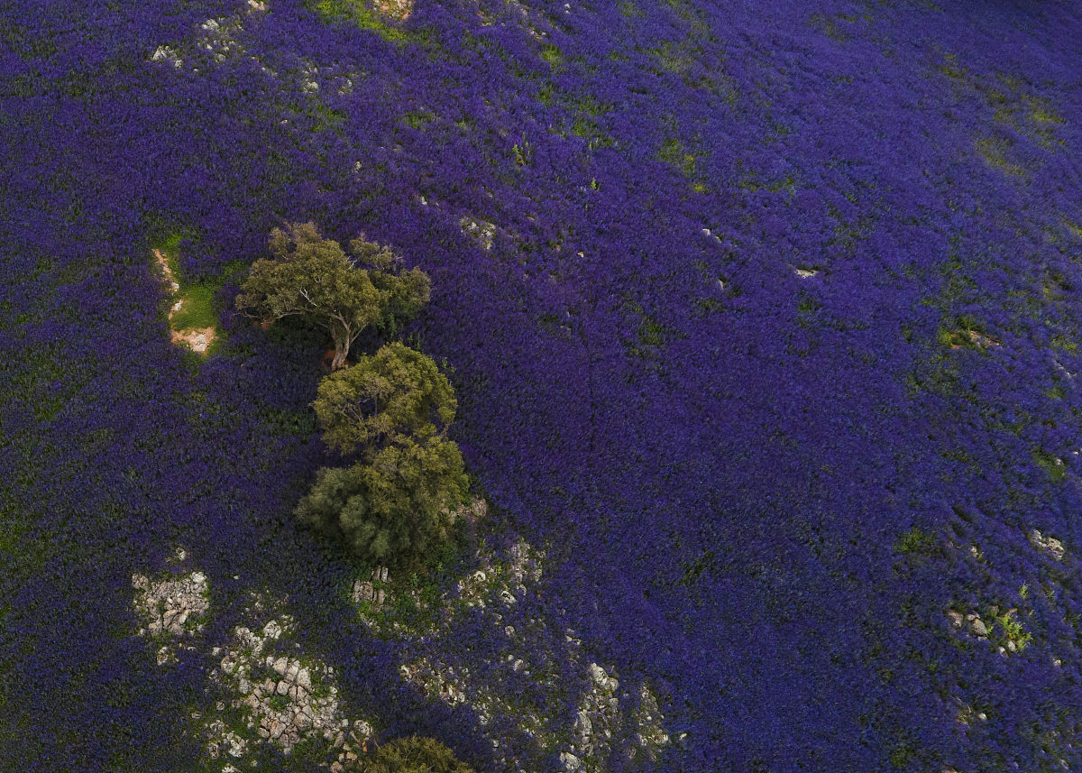 劳动的边际产量和平均产量：深入理解生产函数和求导