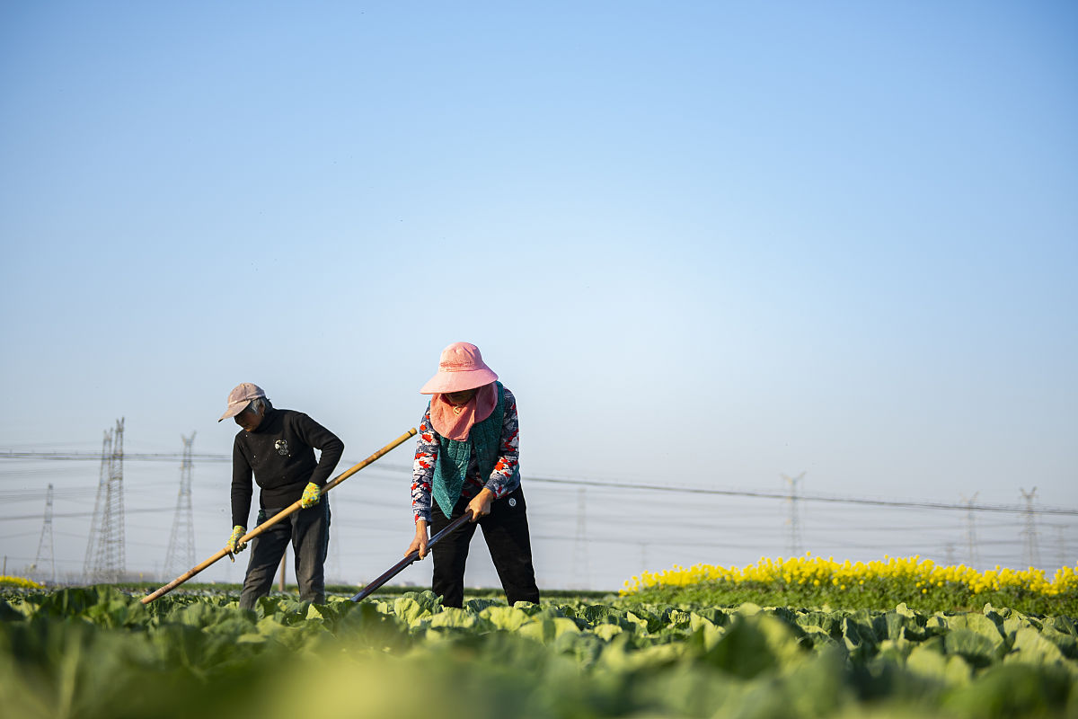 土壤ec是什么意思