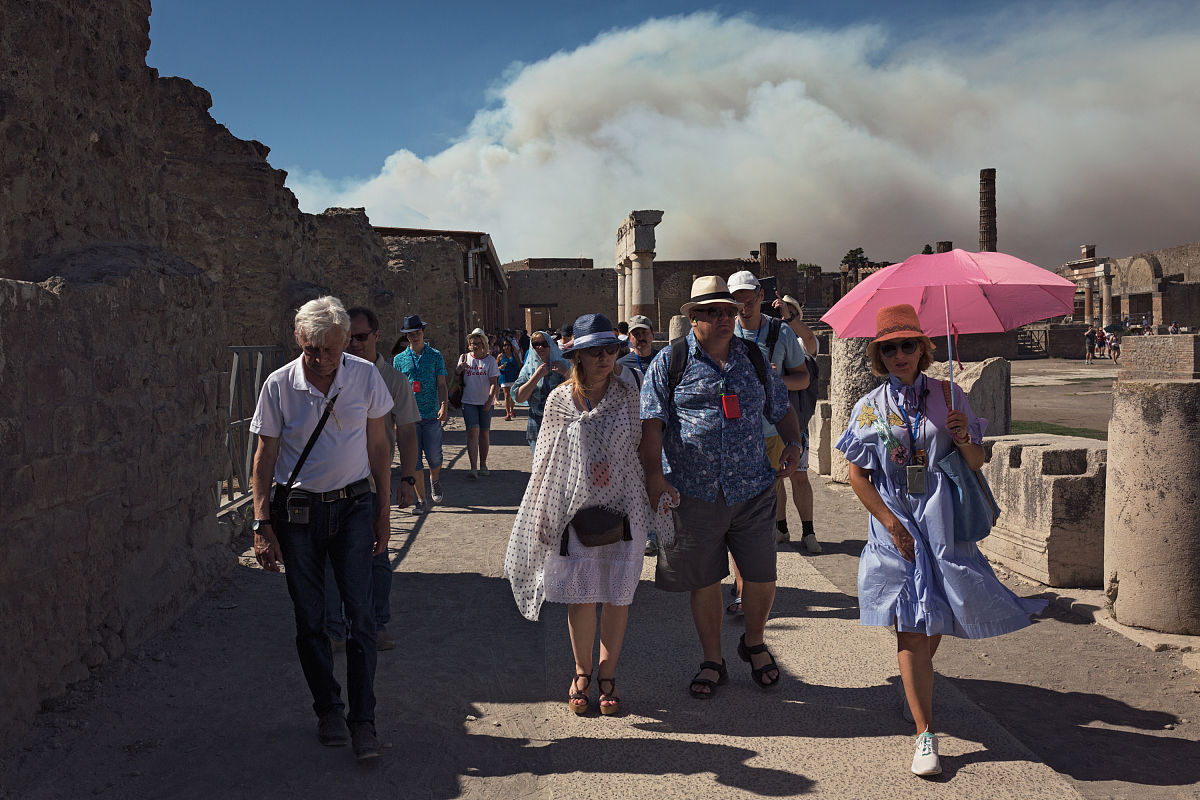 基于生态系统服务评估的保护区野火风险管理框架：以维苏威国家公园为例