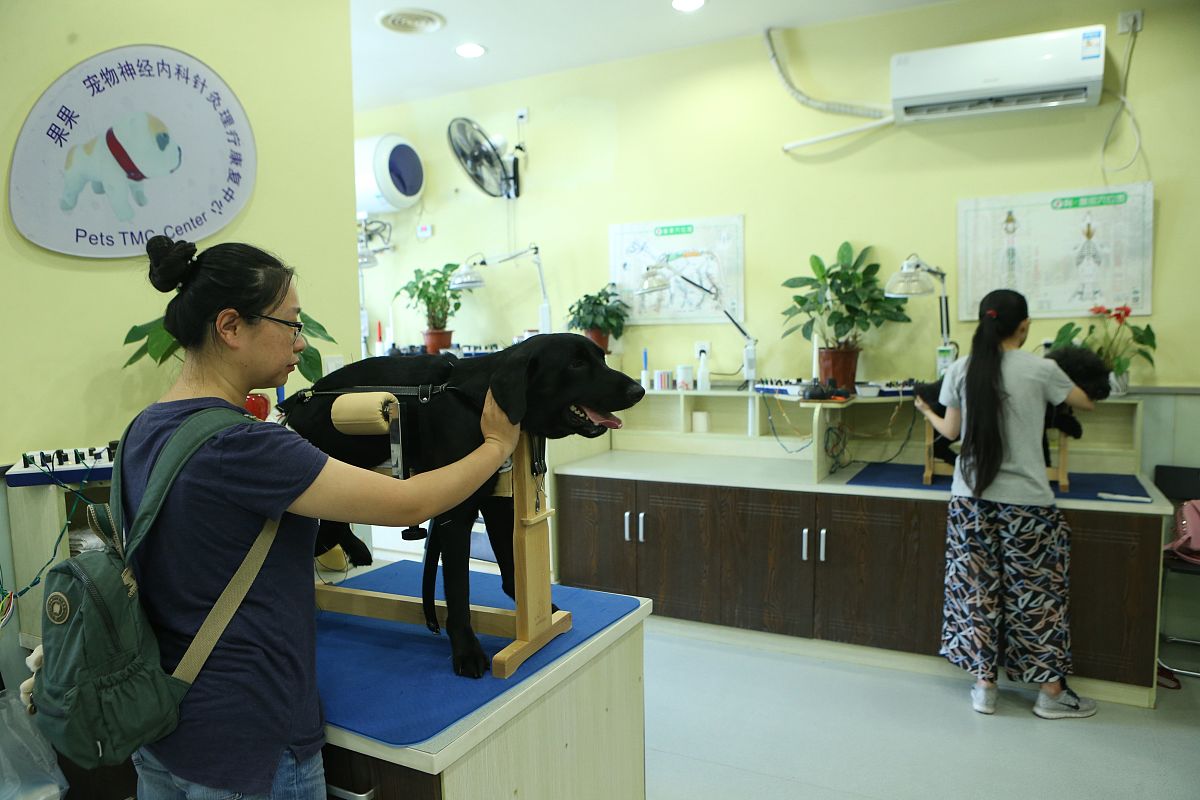 四川省内江医科学校中医康复保健专业招生