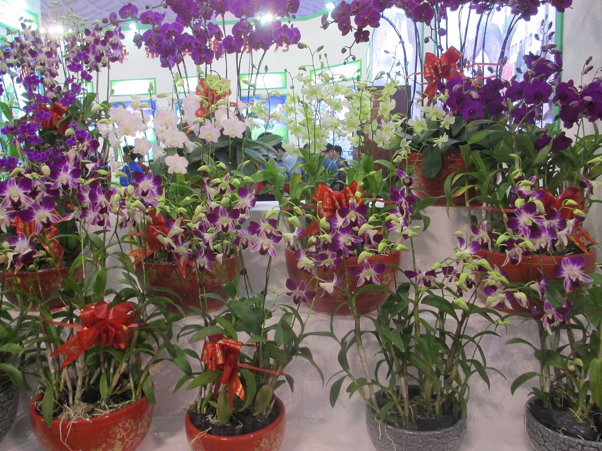 醒花要不要去除网套，