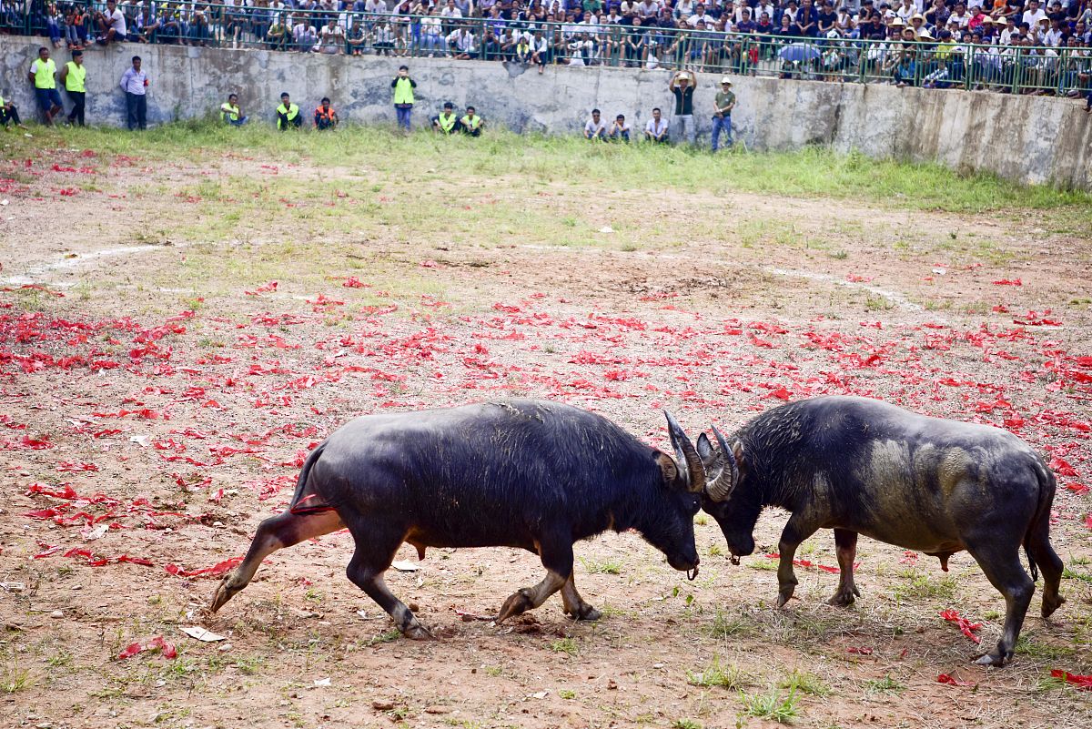 农学专业学什么 有哪些主要课程
