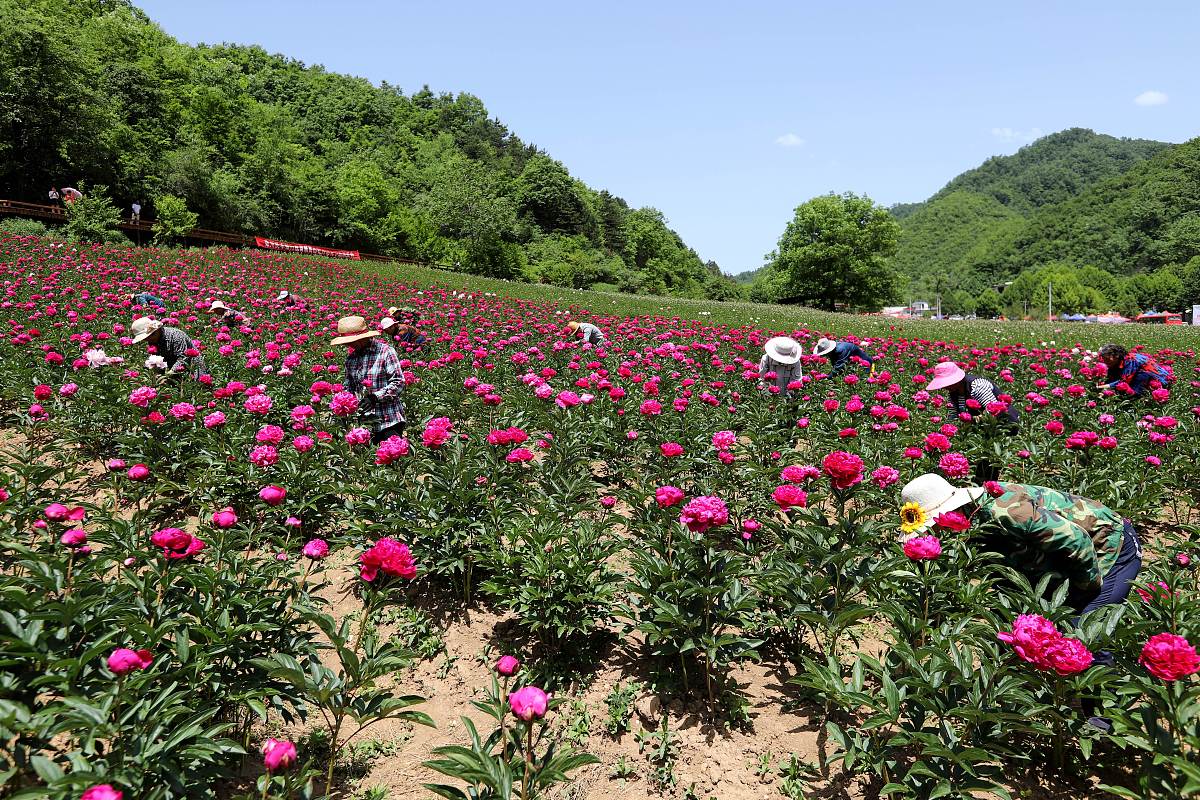 个位数是3的自然数有哪些？