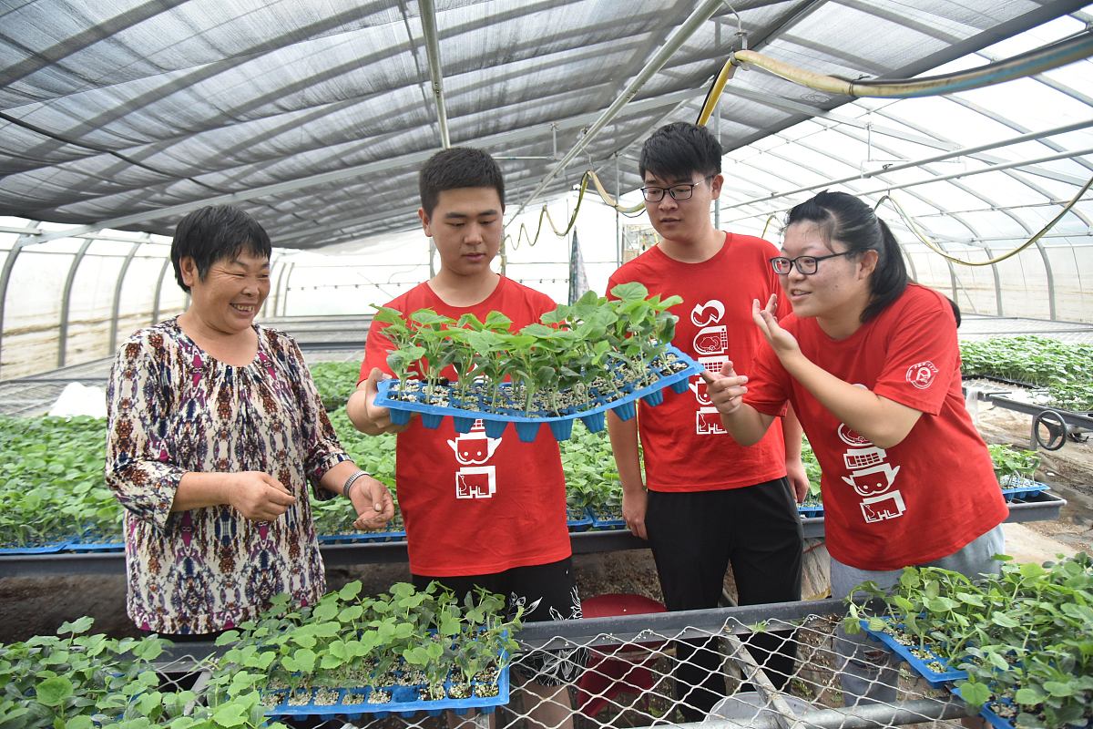 枣庄职业学院现代农业技术专业怎么样都要学些什么