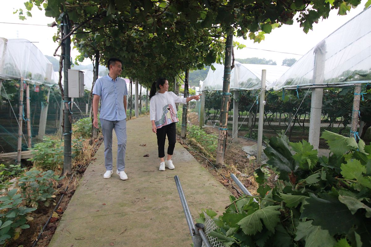 古生村科技小院知农爱农培训感想