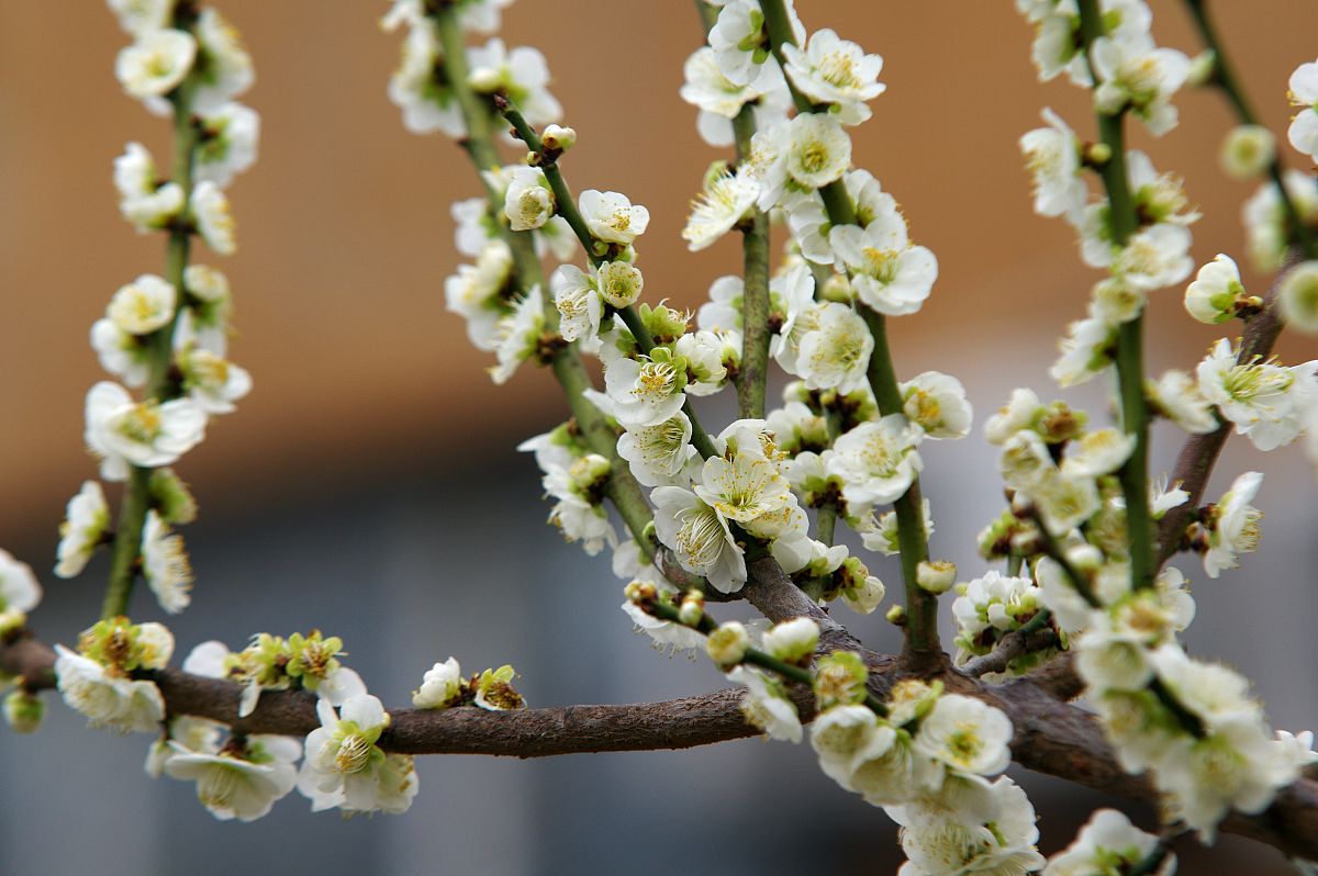 邯郸2022年卫校中专升全日制大专-好麽