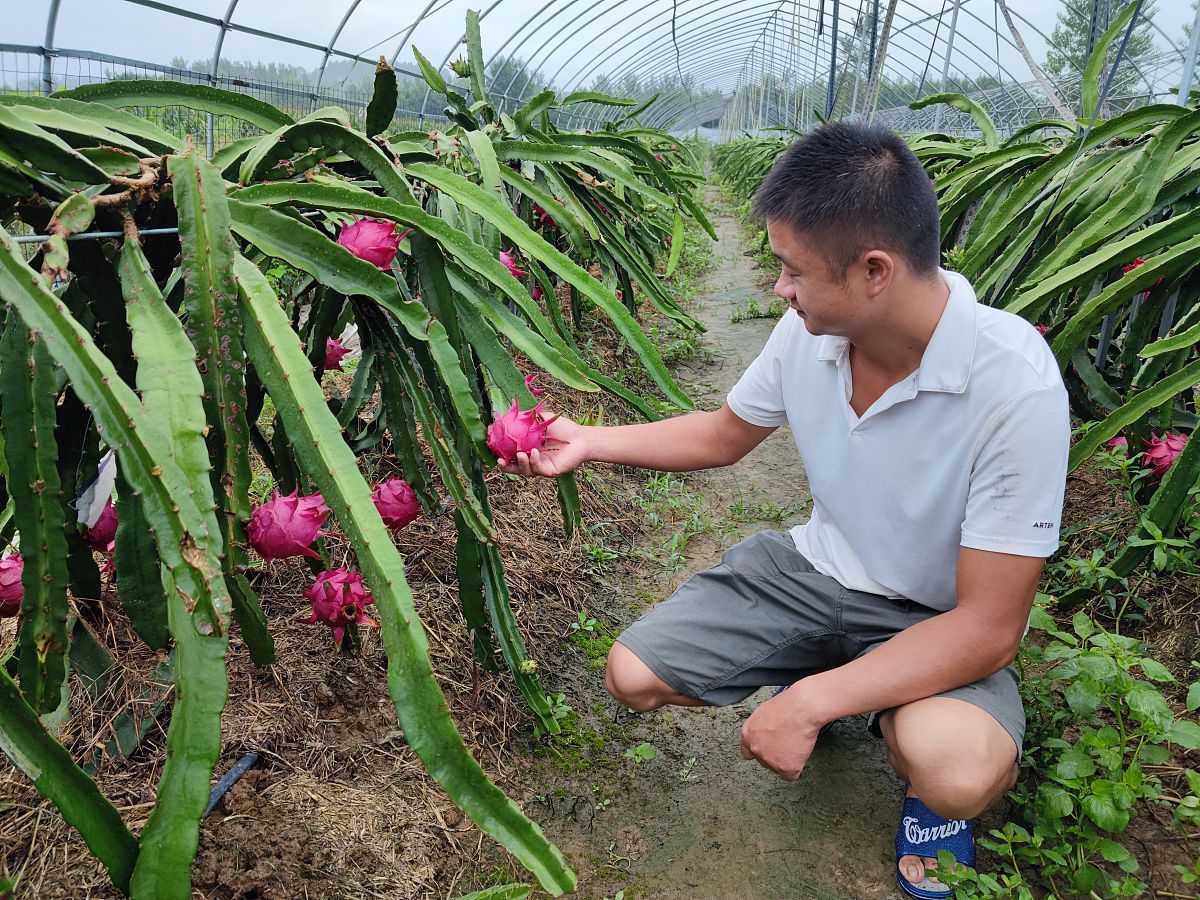 写一篇活动的心得体会。内容：参观葡萄观光采摘园西瓜采摘园火龙果种植基地灵芝种植基地。要求：语句优美通顺