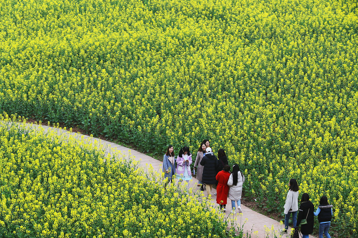 2019年重庆航天职业技术学院专业分类考试计划