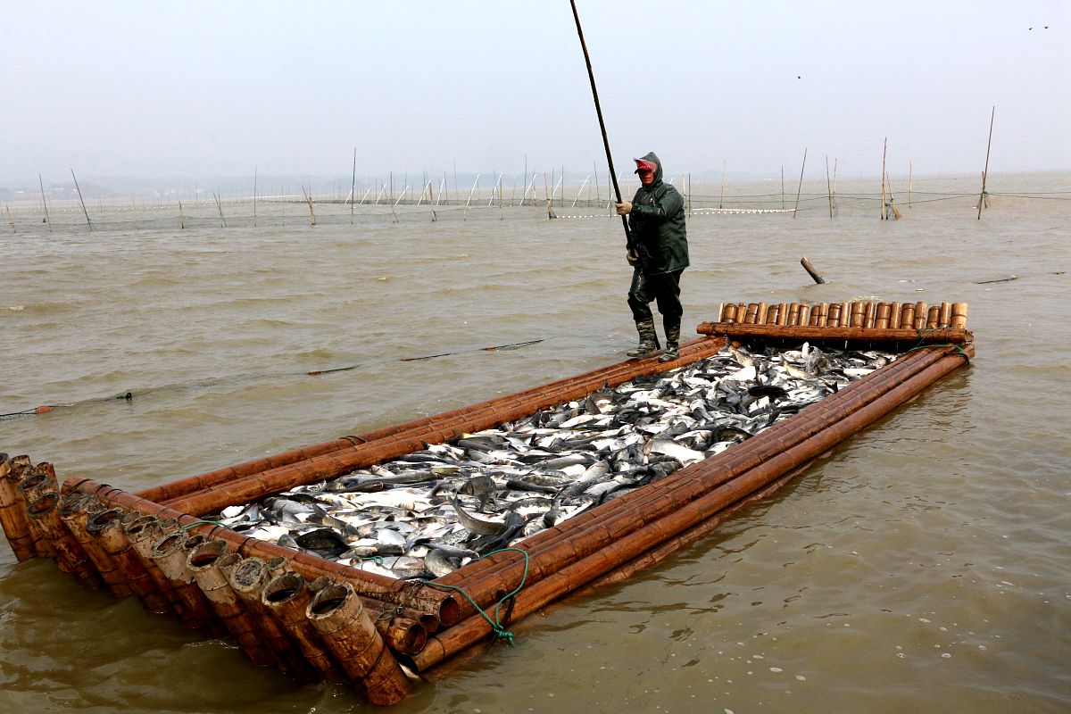 威海市水产学校：培养高素质水产养殖技术人才的摇篮