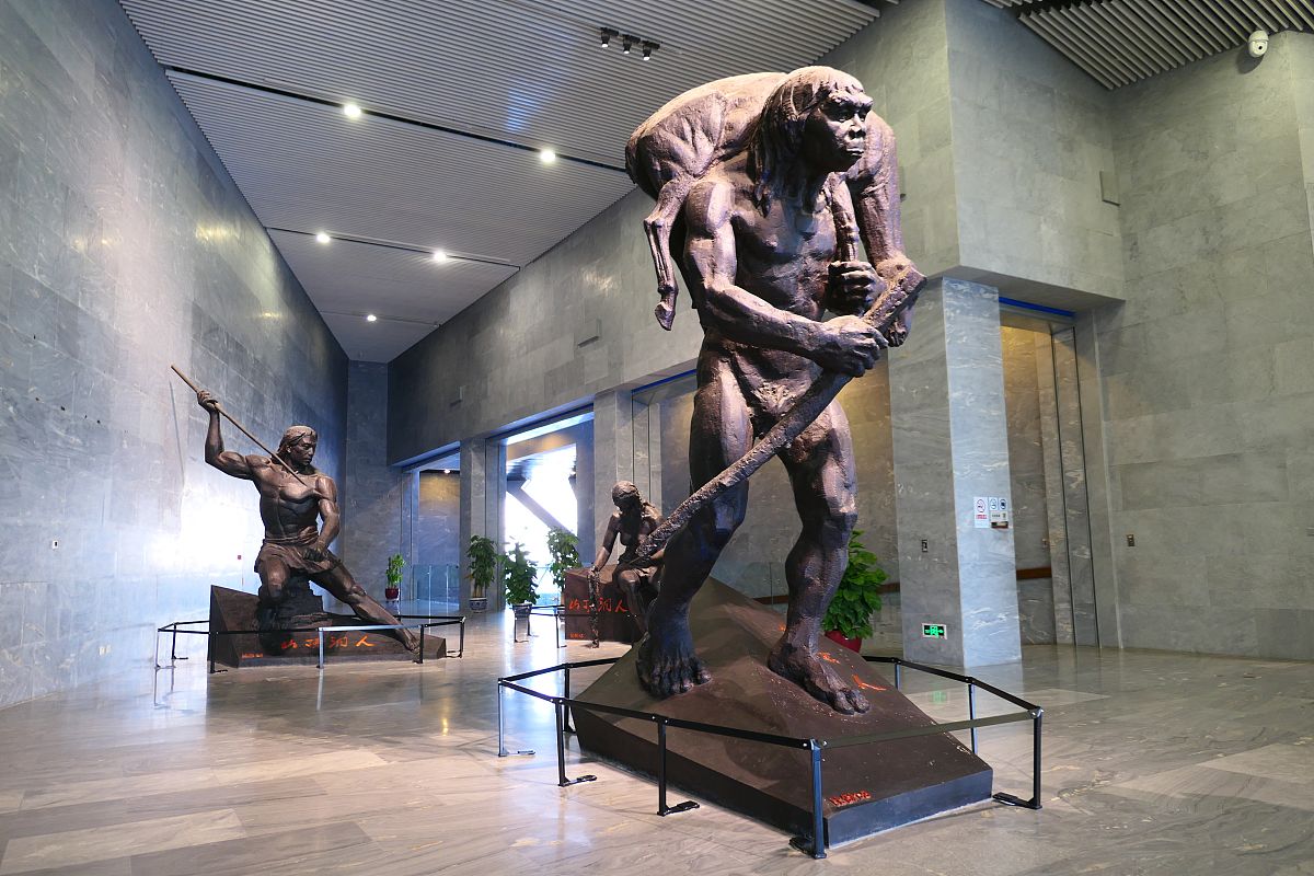 周口店北京人遗址重大发现：50年来首现更新世人类化石！