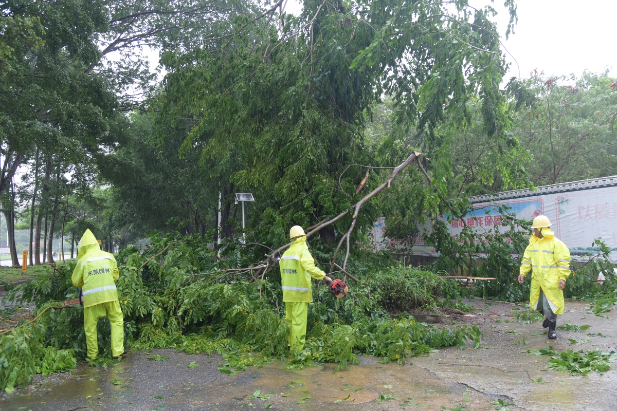 对街道道路积尘治理建议