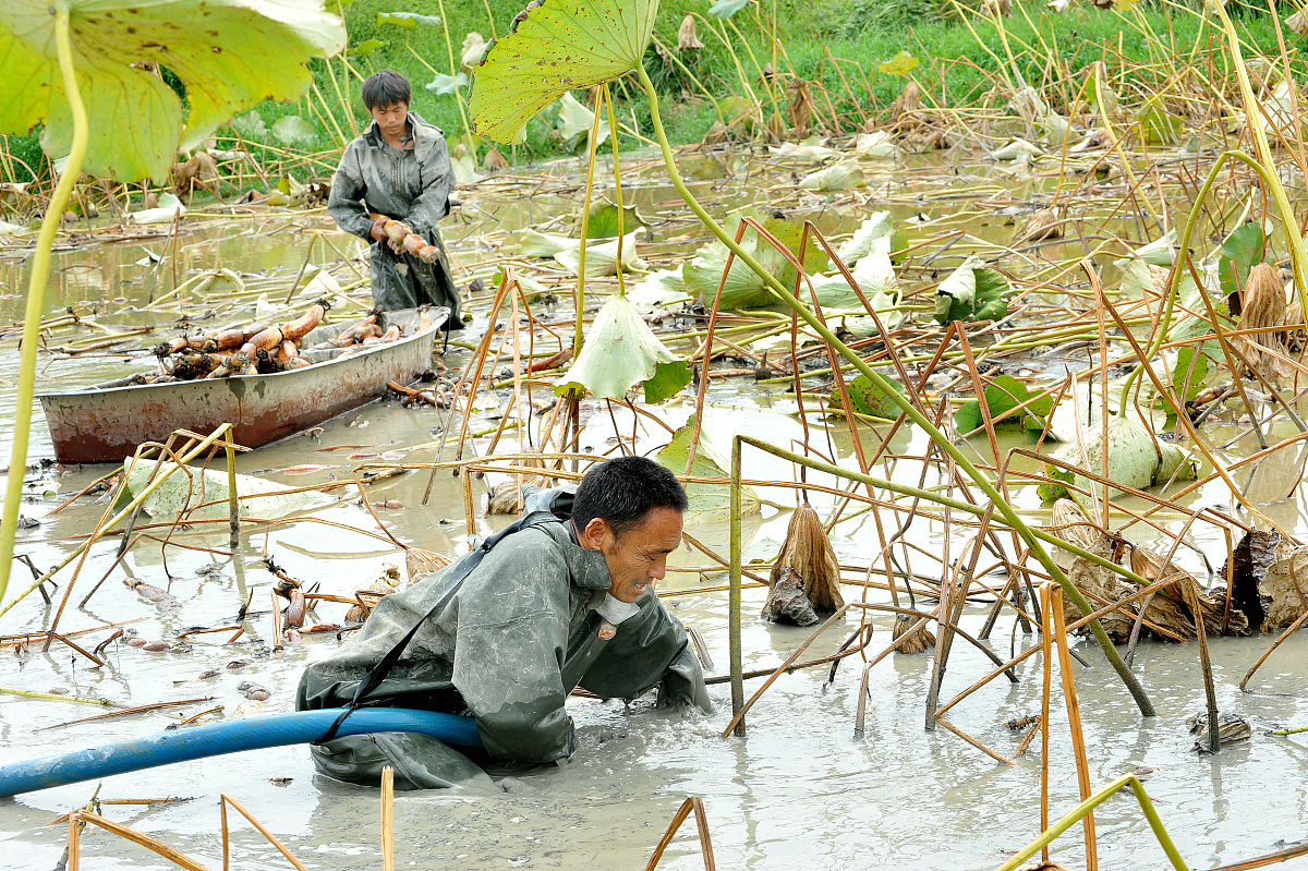 上饶汽车维修学校2023年招生简章-【好不好？报名时间？】