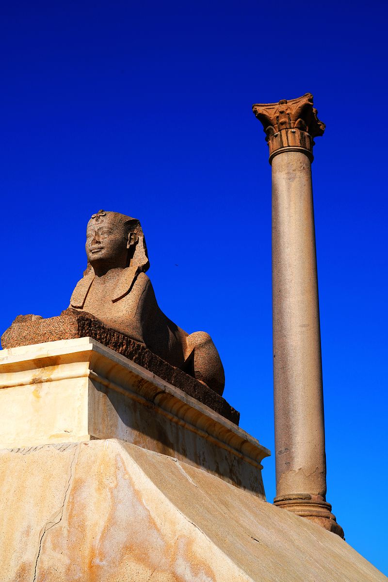 埃及手机号码格式：11位数示例