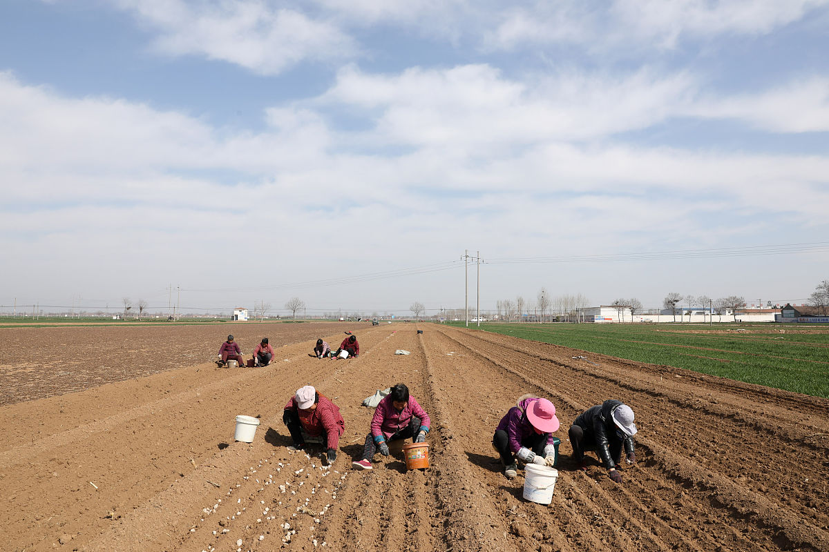 我的女朋友在焦作我在林州请问我采用什么方式最节约时间请提供一个方案。