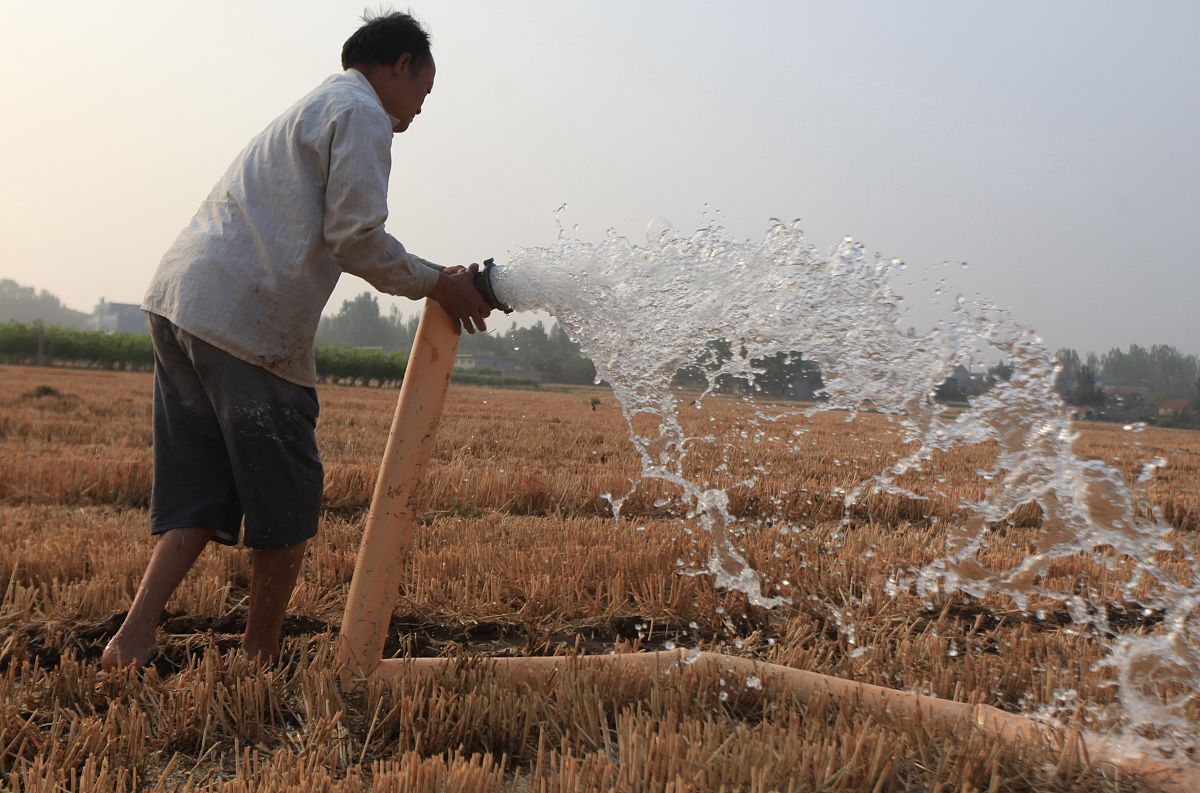 那个下雨后被雨给撇住了怎么？他用什么工具才可以弄开？那玉米怕长不出铺了地膜了