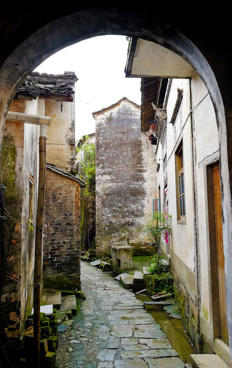 安徽徽州学校2023年招生电话：400-123-4567，全面了解招生政策