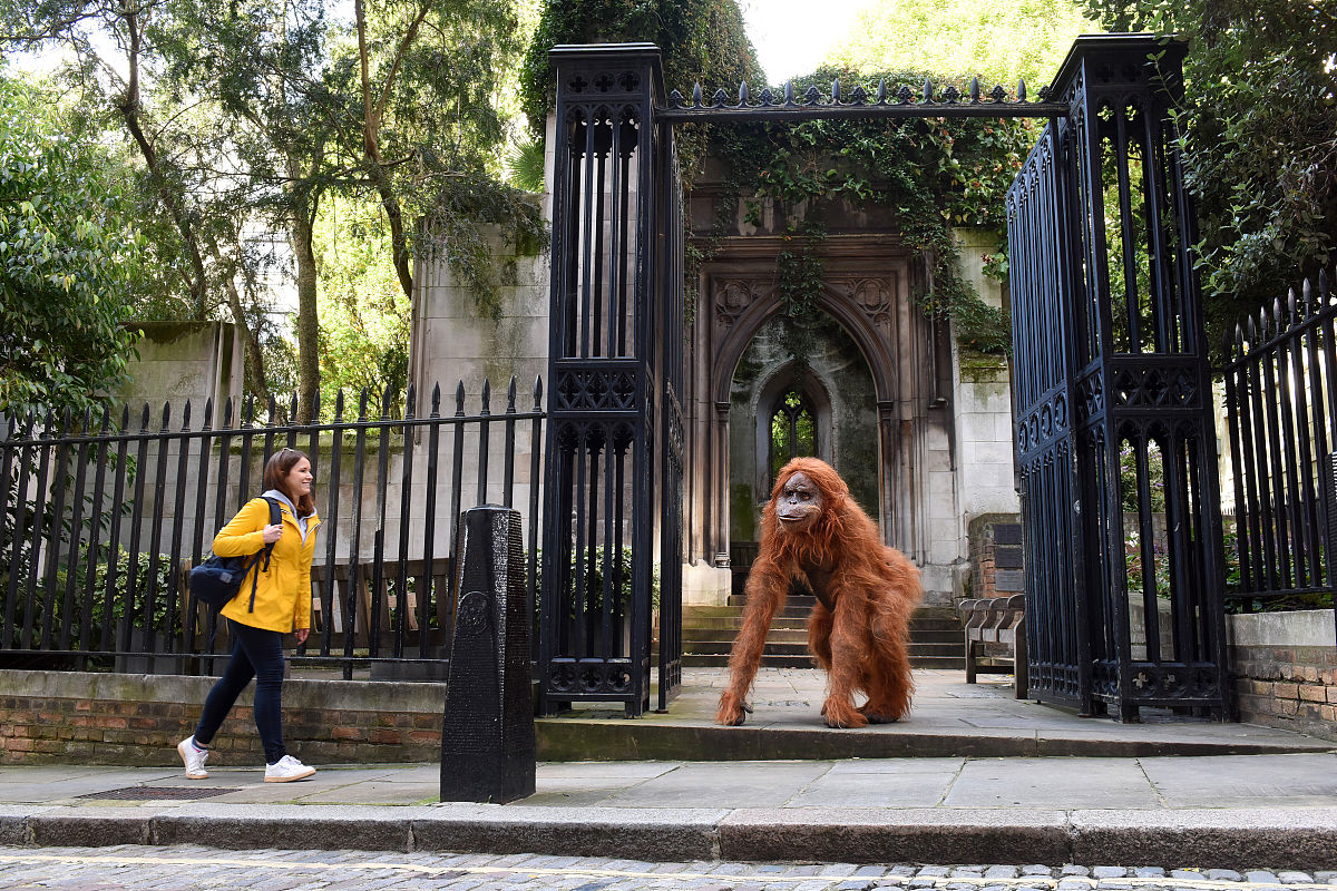 爱博不专是什么意思？词语解释及使用场景