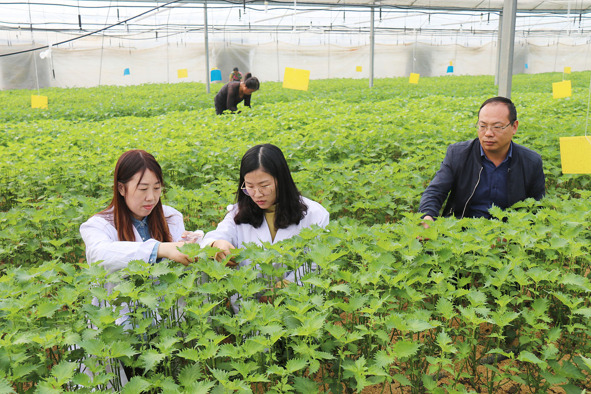 四川省开江县职业中学休闲农业生产与经营专业怎么样都要学些什么