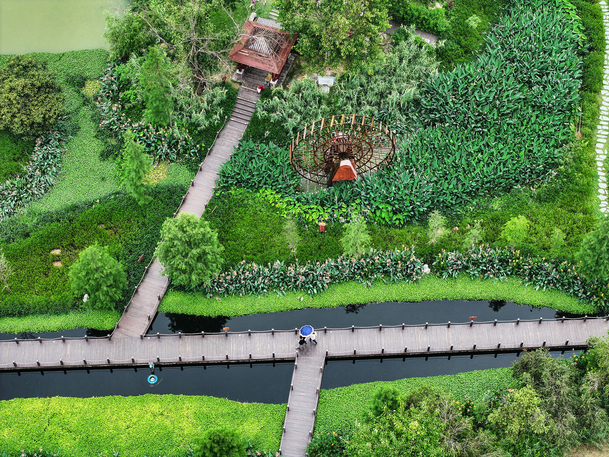 Landscape Design for Ecological Harmony: Protecting River Dolphins in the Qiantang River