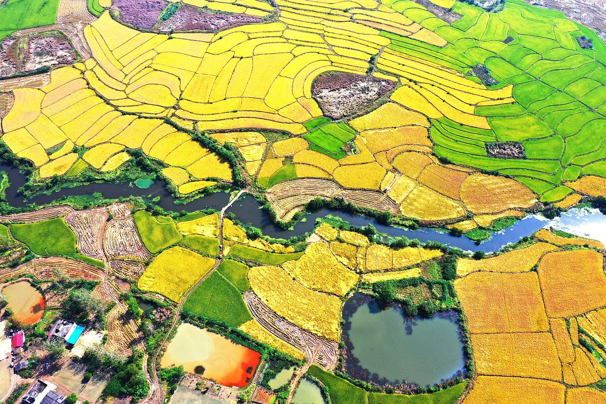 京山卫生学校2022年招生简章 - 报名时间/方式/专业/学费