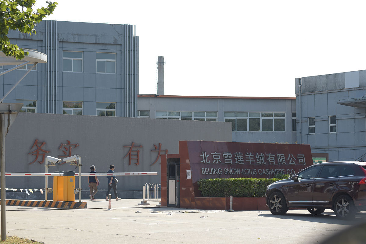 安徽新远科技股份有限公司前景分析