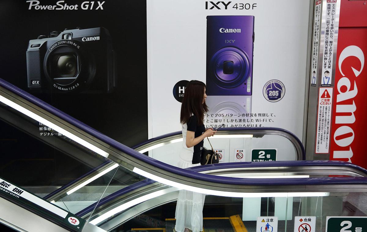 请撰写一份分管招标采购工作的集团公司副总经理的述职述廉报告