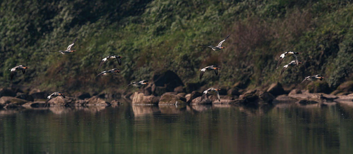 2021年重庆中华职业学校招生简章