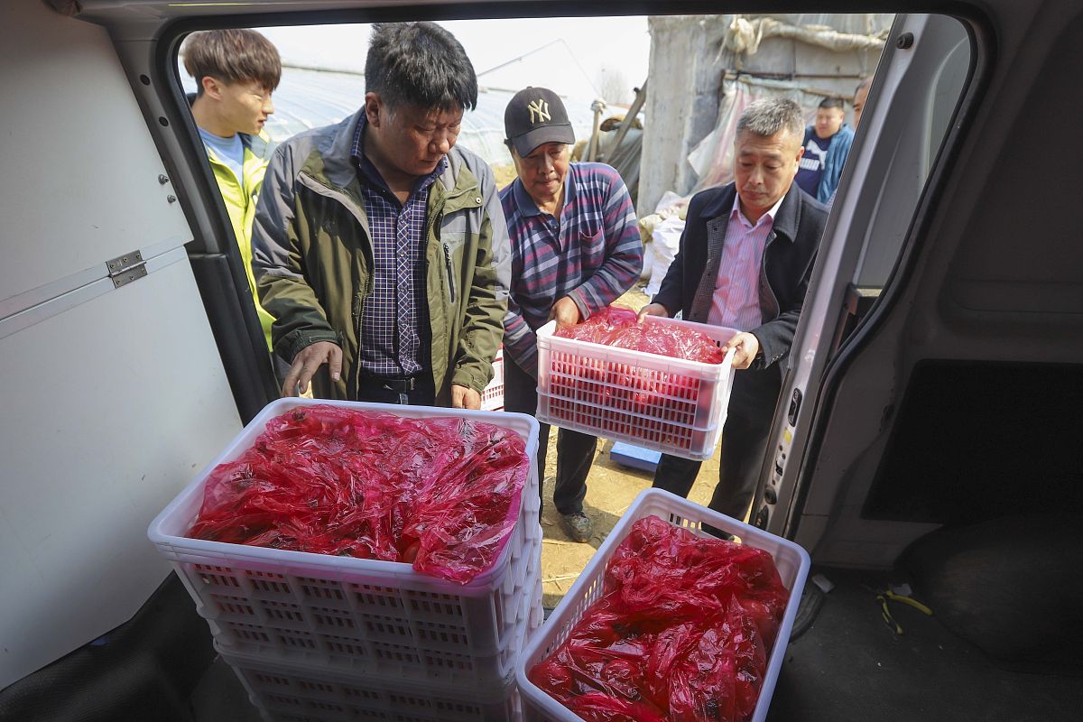 临沂科技职业学院现代农业技术新媒体营销方向专业优势怎么样发展前景好不好呢