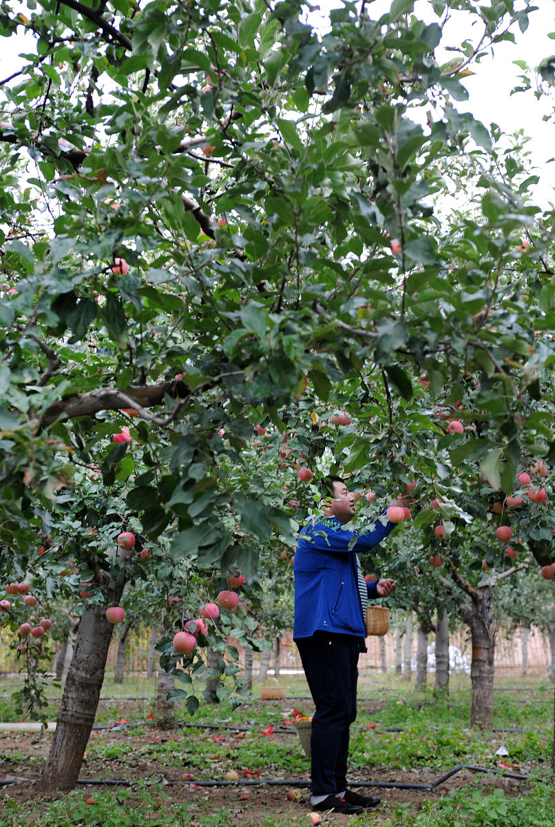 西安中天数码手机维修学校芯片级苹果手机实战高手班怎么样？