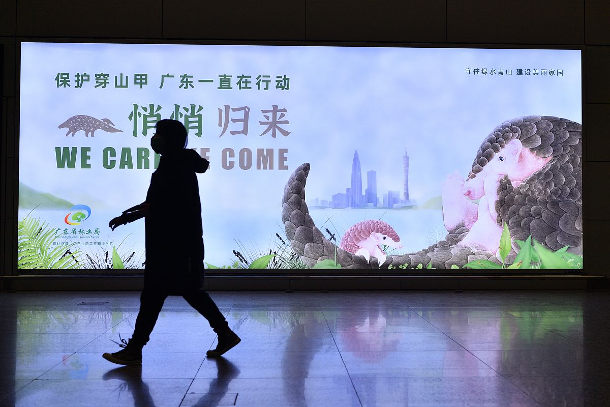 湖北生态工程职业技术学院招生专业有哪些