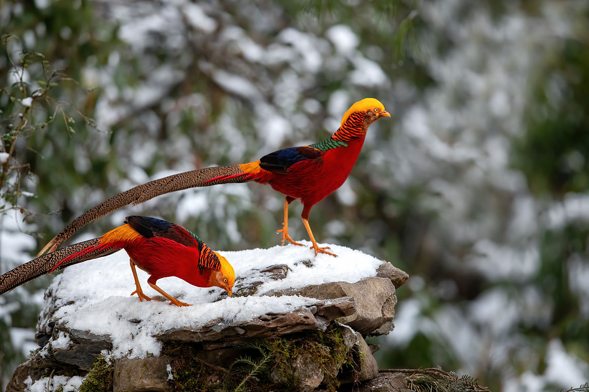 重庆南川隆化职业中学校2022年招生简章