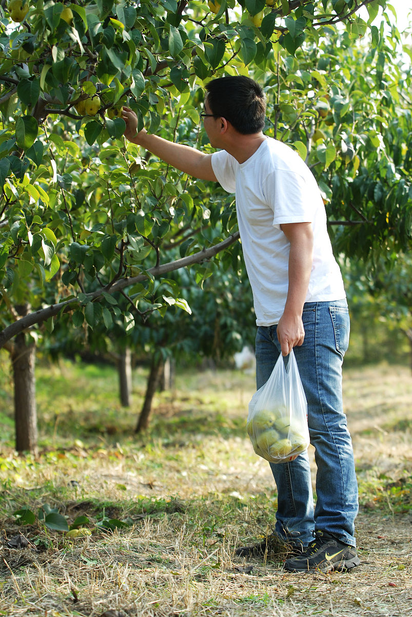 湖南观光农业经营专业中专中职学校推荐：哪家好？