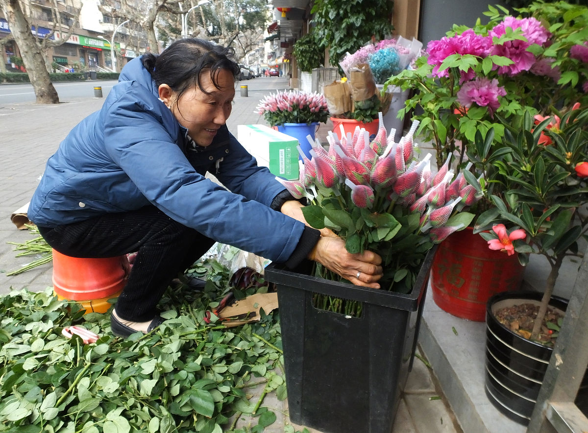 克服挑战，培育梦想：一位花卉爱好者的励志故事