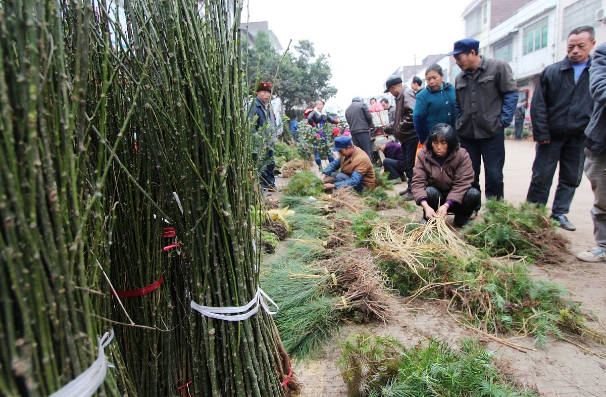 云南农业职业学院五年一贯制大专特色专业介绍