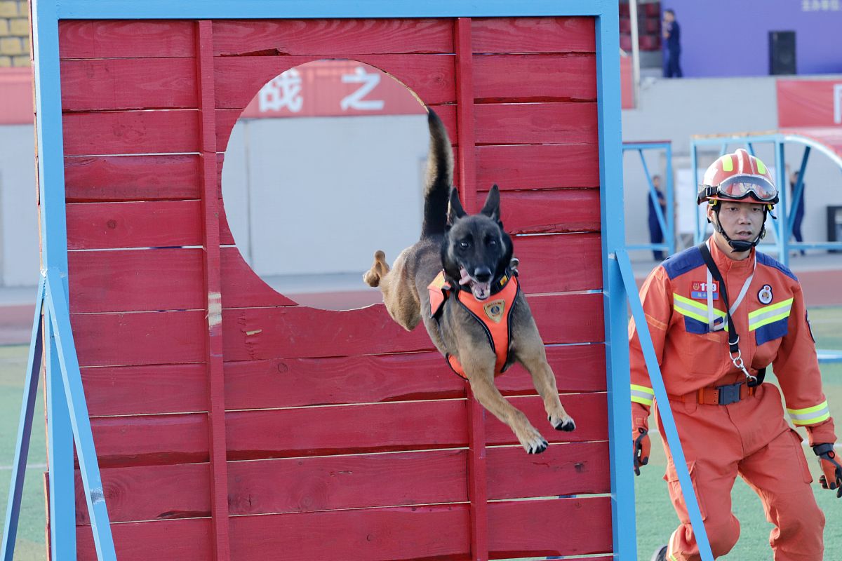 湖南网络工程职业学院会计专业怎么样