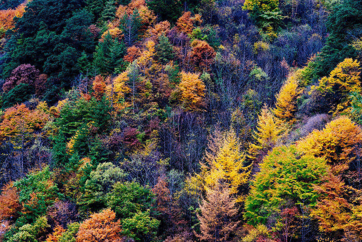 宝鸡幼师保育学校铁路供电技术好不好？有什么招生要求