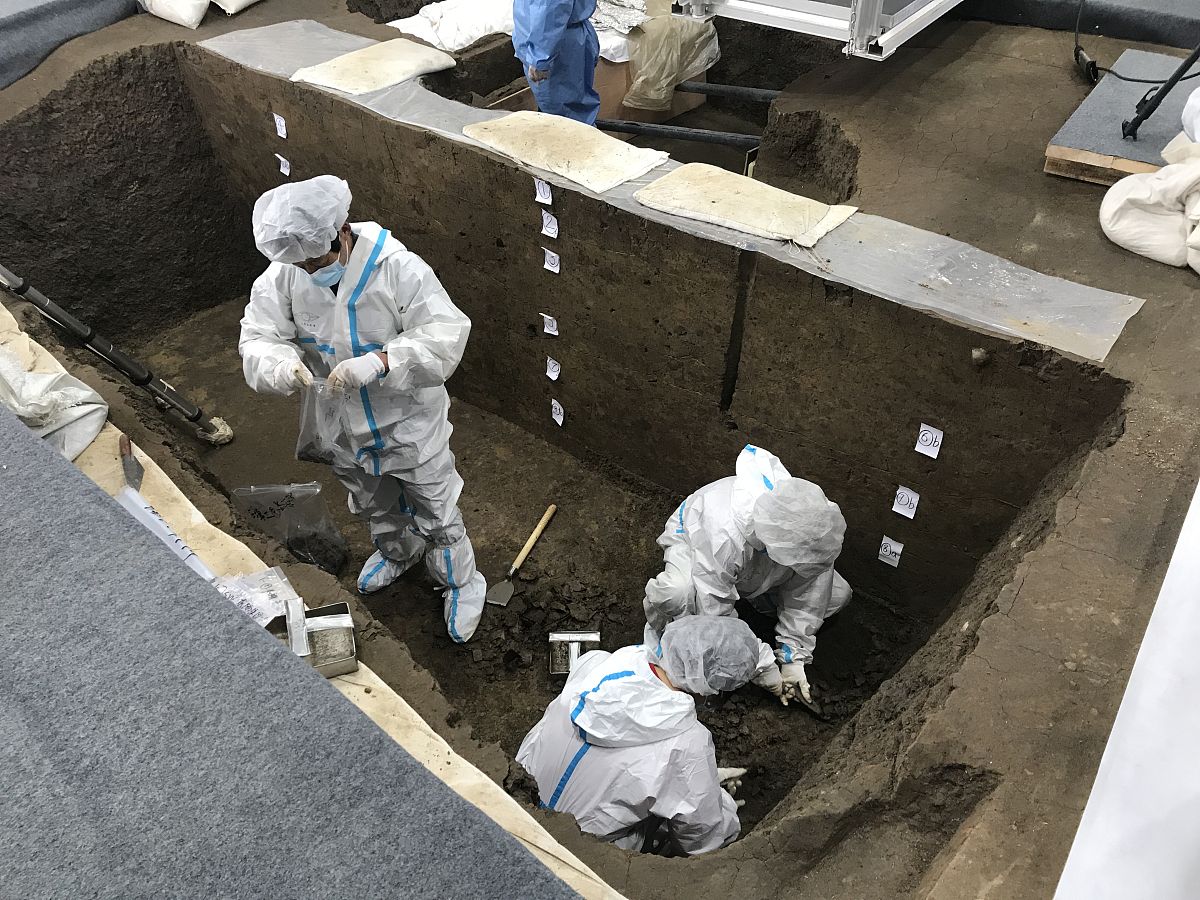 (如需下载使用,请务必署名:红星新闻 王明平)2021年3月19日,四川广汉,