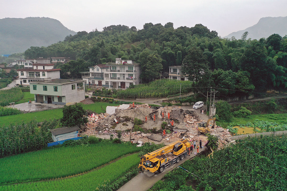 阐述重庆市森林资源保护技术落后的问题分析