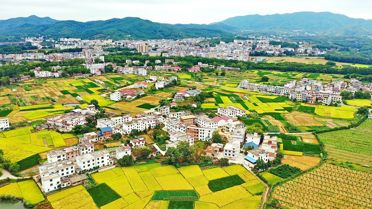 2022年赣州卫生学校农村医学专业招生