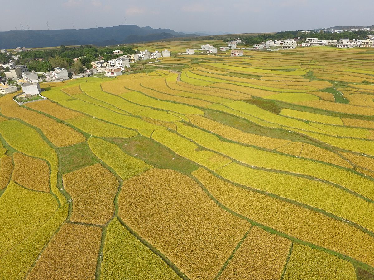 贵阳就业前景好的中专学校推荐 - 2023年最新榜单