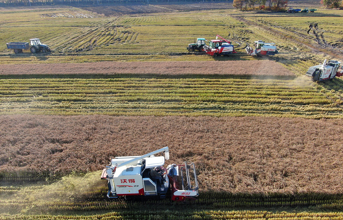 黑龙江农垦职业学院药学专业就业方向及前景