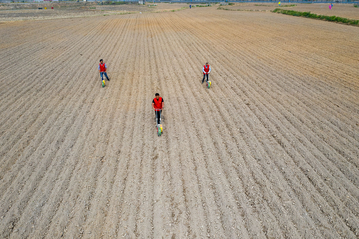 党员转正申请书范文 - 申请书内容及格式模板